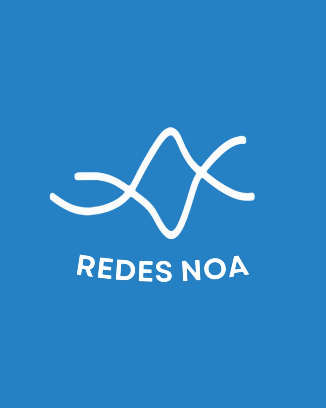 Logo Redes de Seguridad NOA